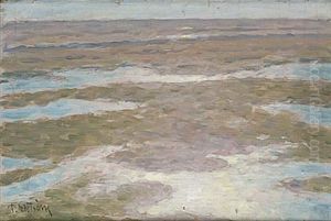 Terrangstudie Fran Borgholm Oland Terrangstudie Fran Borgholm Oland
