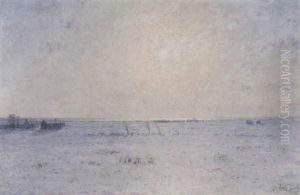 Stattlandskap I Soldis - Vintermotiv Fran Oland