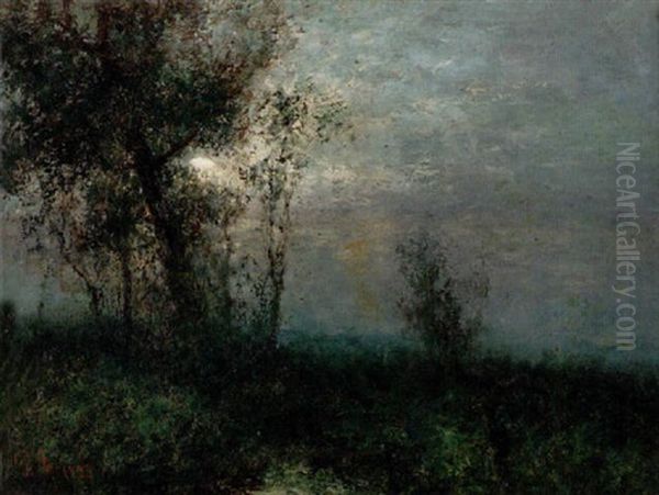 Landskap Med Trad - Manskensnatt - view 1