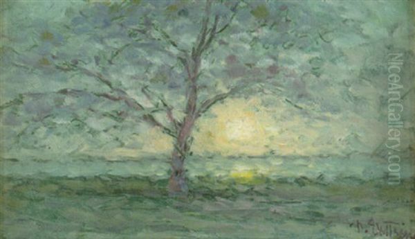 Sol Over Vatten - Strandlandskap Med Trad - view 1