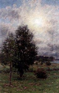 Trad I Motljus - Djursholm by Per Ekstroem
