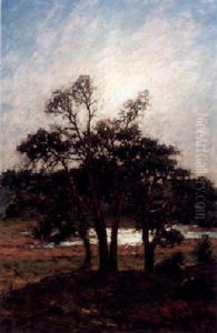 Morgonsol - Saro Morgonsol - Saro