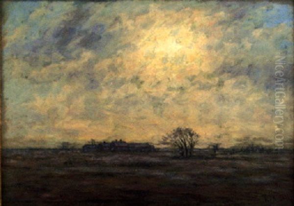 Soldis Over Olandskt Landskap Med Gard - view 1