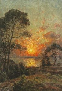 Landskap I Solnedgang