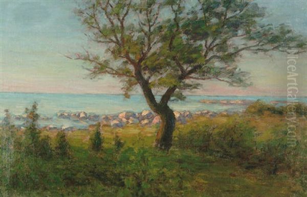 Afton Vid Havet - Strandlandskap Med Trad - view 1