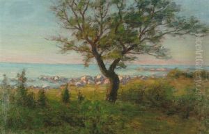 Afton Vid Havet - Strandlandskap Med Trad by Per Ekstroem