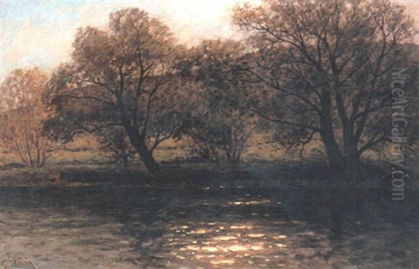 Trad Vid Flodstrand - view 1