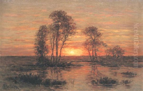 Solnedgang - view 1
