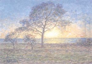Solnedgang Vid Hav