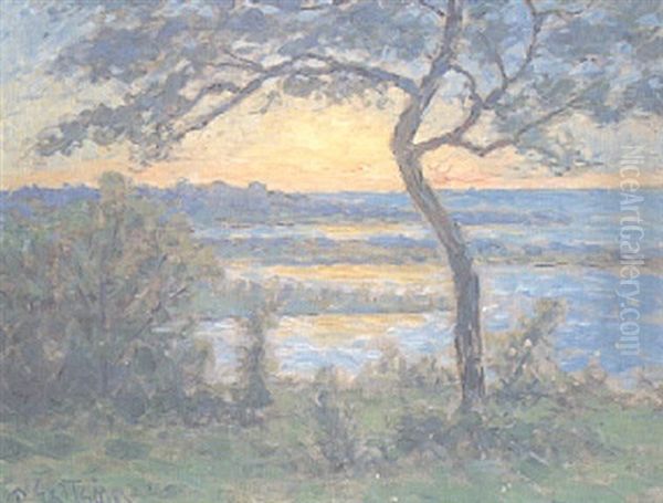 Strandlandskap Med Tradhavsutsikt I Soluppgang - view 1