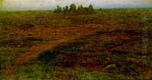 Morgon Pa Alvaret, Oland - view 1