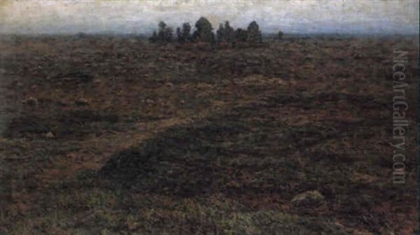 Morgon Pa Alvaret, Oland - view 1