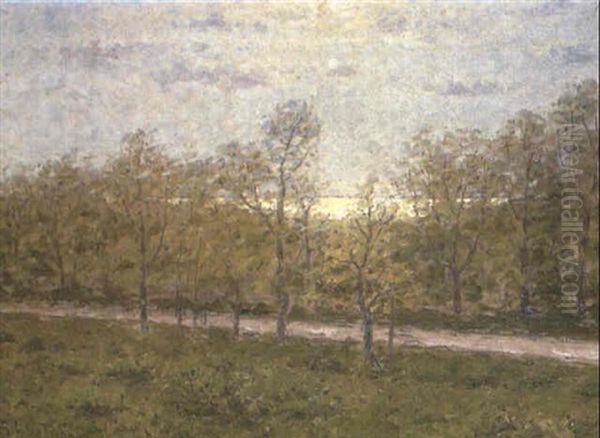 Sommar - view 1