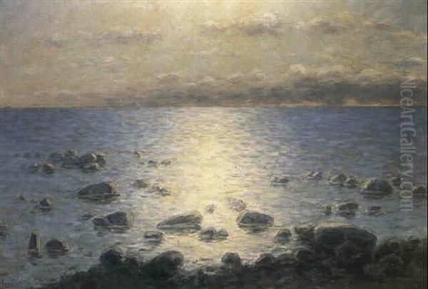 Lagvatten - Havsutsikt I Motljus - view 1