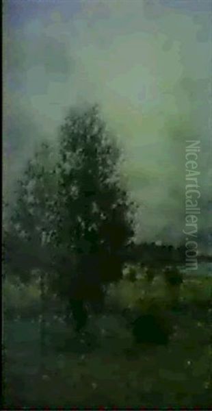 Trad I Motljus, Landskapsbild Fran Djursholm - view 1