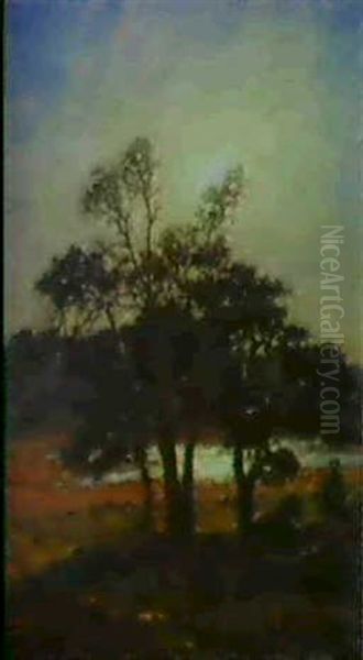 Morgonsol, Tallar I Motljus - view 1