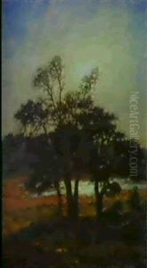Morgonsol, Tallar I Motljus by Per Ekstroem