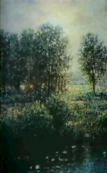 Landskap Med Trad Vid Tjarn- Motljus - view 1