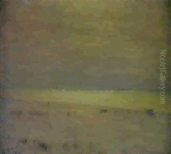 Strandlandskap - view 1