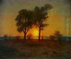 Landskap Med Solnedgang Genom Trad Landskap Med Solnedgang Genom Trad