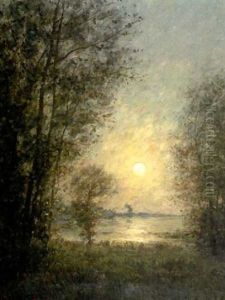 Aftonsol Mellan Trad by Per Ekstroem