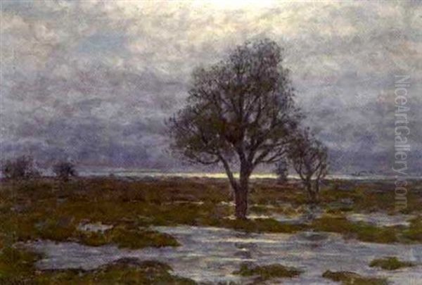 Det Ensamma Tradet - view 1