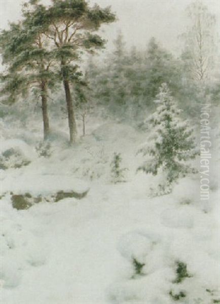 Vinterlandskap - view 1