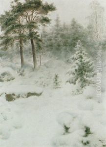 Vinterlandskap