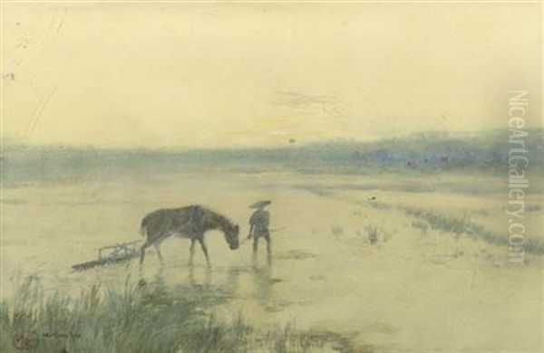 Peasant At Work In The Ricefields - view 1