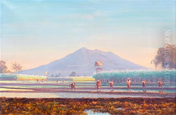 Workers In The Rice Fields At Dawn - view 1