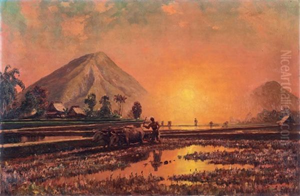 Sunset In The Rice Fields - view 1