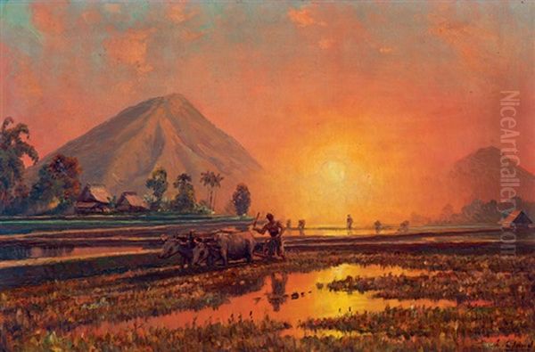 Working The Land At Sunset - view 1