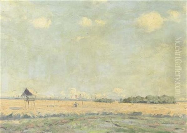 An Indonesian Landscape With Scarecrow - view 1