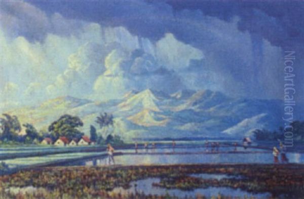 Paddy Fields After The Storm - view 1