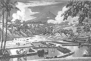 Figures Working In A Sawah