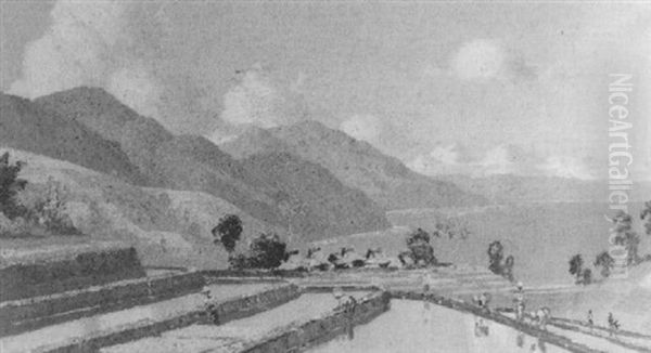 Sawahs Near Lake Toba - view 1