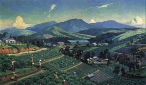 Panoramic Landscape With All Facets Of Tea Production Panoramic Landscape With All Facets Of Tea Production