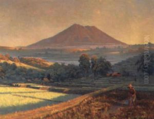Peasant Working In A Sawah, Volcano In The Distance