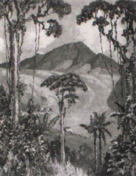 View On A River Seen Through The Trees - view 1