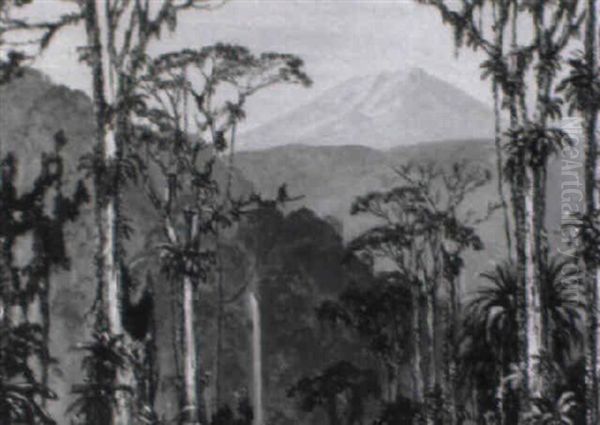 A Wooded Landscape With A Monkey In A Tree, Java - view 1