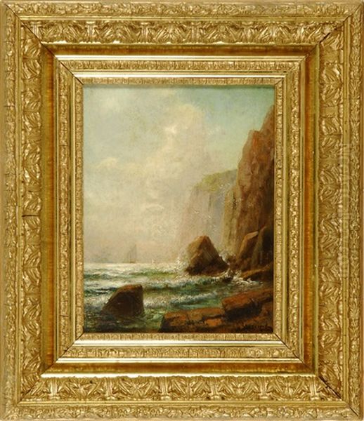 Coastal Scene (grand Manan?) - view 1