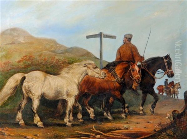 Exercising The Horses - view 1