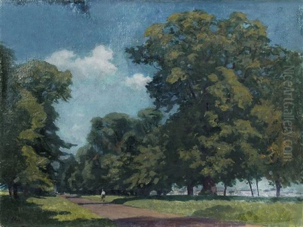 Allee Ostragehege, Dresden - view 1