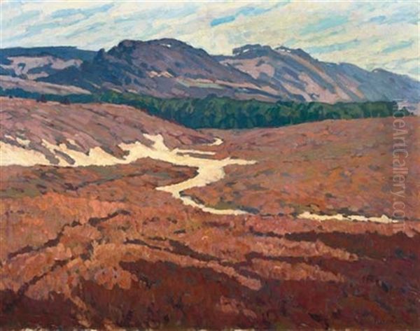 A Heath Landscape - view 1