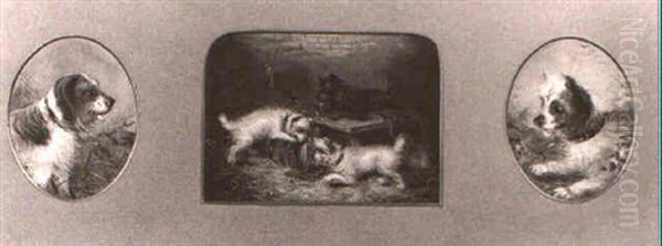 Terriers Playing In An Interior - view 1