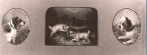 Terriers Playing In An Interior