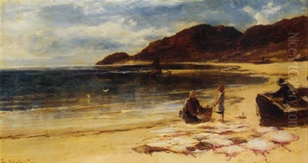 The Day's Catch - view 1
