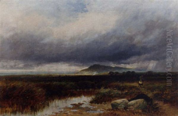On The Arthog Moor, Wales - view 1
