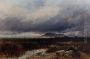 On The Arthog Moor, Wales On The Arthog Moor, Wales