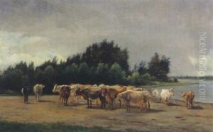 Kuhherde Am Flusufer